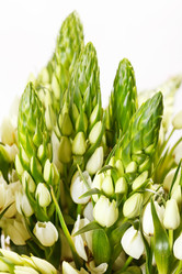 Similar image 2190813