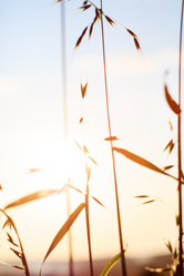 Similar image 2190817