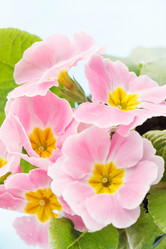 Similar image 2190818