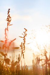 Similar image 2190815