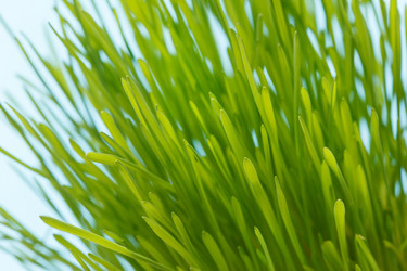 Similar image 2190820