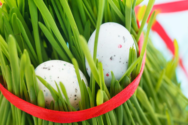 Similar image 2190842