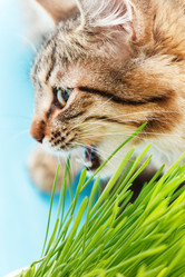 Similar image 2190866