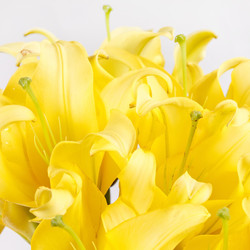 Similar image 2190880