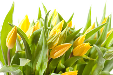 Similar image 2190894