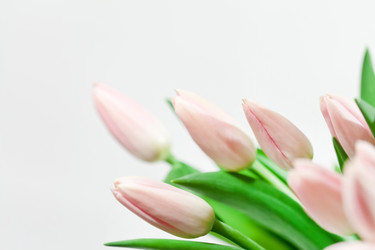 Similar image 2190896