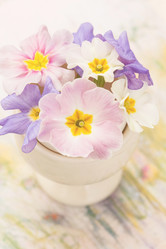 Similar image 2190897