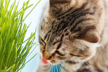 Similar image 2190937