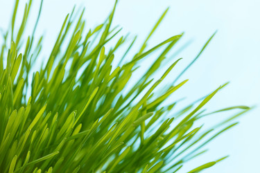 Similar image 2190950