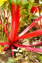 Similar image 2190962