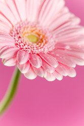 Similar image 2191005