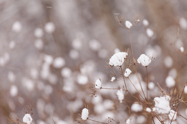 Similar image 2191018