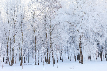 Similar image 2191063