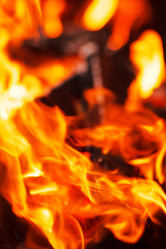 Similar image 2191118