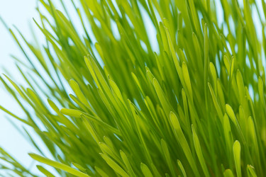 Similar image 2191130