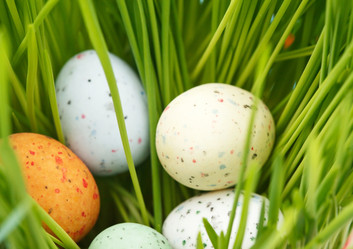 Similar image 2191136