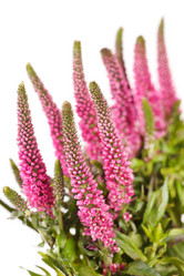 Similar image 2191143