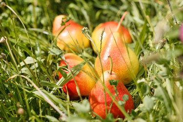 Similar image 2191226