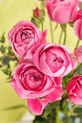 Similar image 2191272