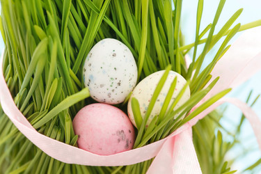 Similar image 2191299