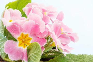 Similar image 2191302