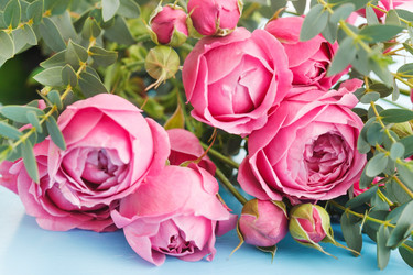 Similar image 2191382