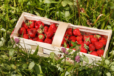 Similar image 2191414