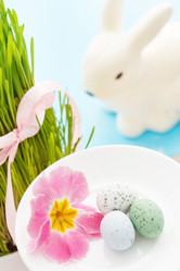 Similar image 2191435