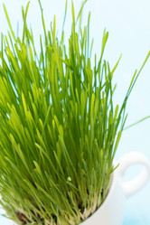 Similar image 2191440