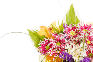 Similar image 2191481