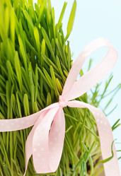 Similar image 2191505