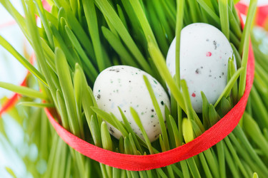 Similar image 2191543