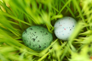 Similar image 2191547