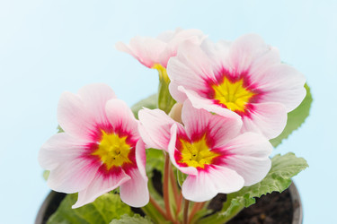 Similar image 2191550