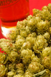 Similar image 2192108