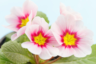 Similar image 2192122