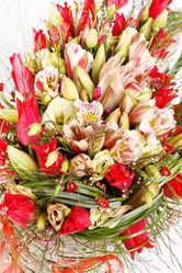 Similar image 2192124