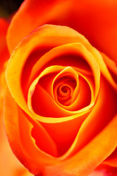 Similar image 2192127