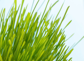 Similar image 2192128