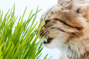 Similar image 2192130