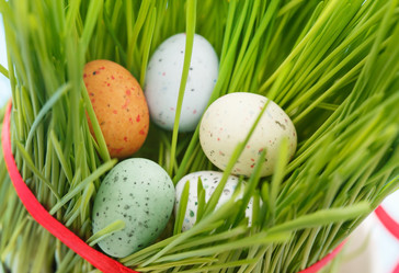 Similar image 2192133