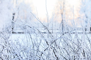 Similar image 2192149