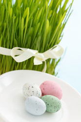 Similar image 2192152