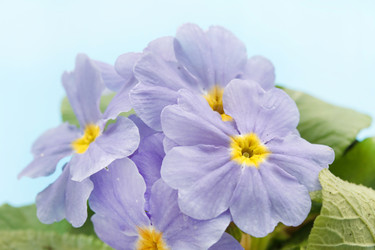 Similar image 2192156