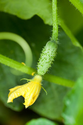 Similar image 2192163