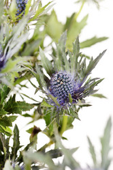 Similar image 2192288