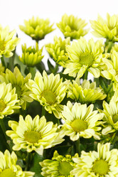 Similar image 2192353