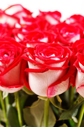 Similar image 2192356