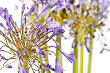 Similar image 2192360