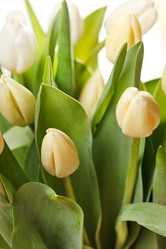 Similar image 2192361